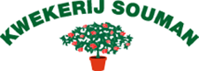 Logo www.kwekerijsouman.nl